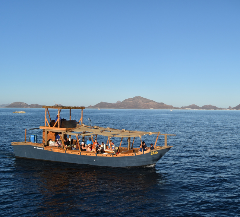 Dhow